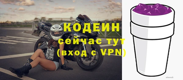 индика Лихославль