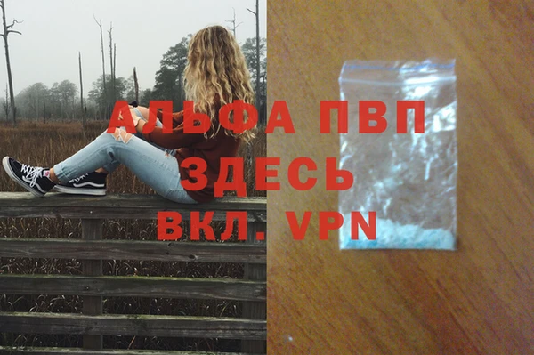 спиды Липки