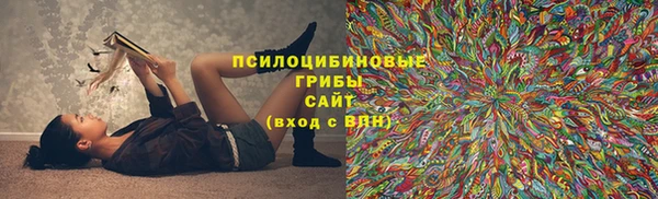 гашик Одинцово
