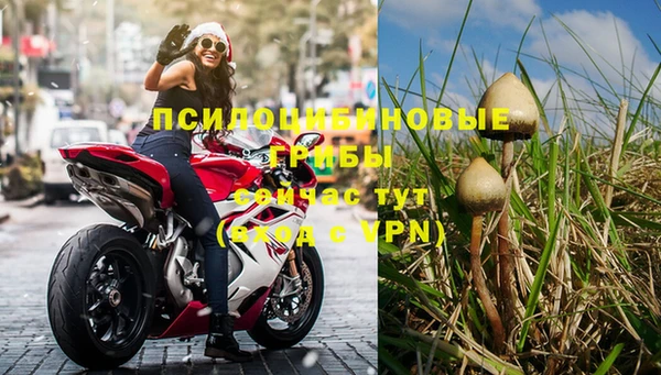 спиды Липки