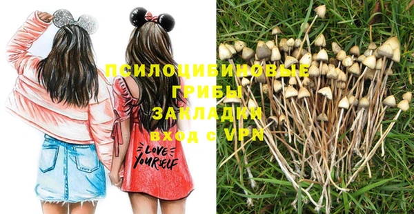 индика Лихославль