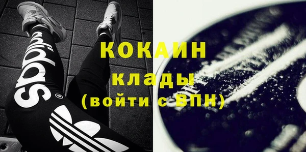 индика Лихославль