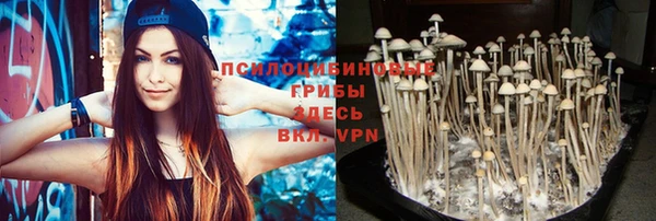 MDMA Лиски