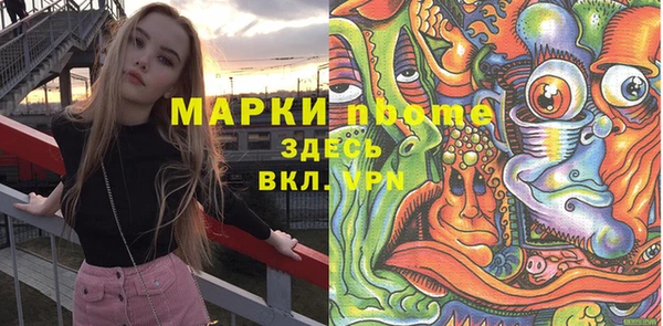 индика Лихославль