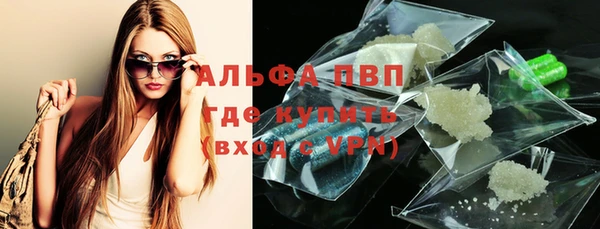 индика Лихославль