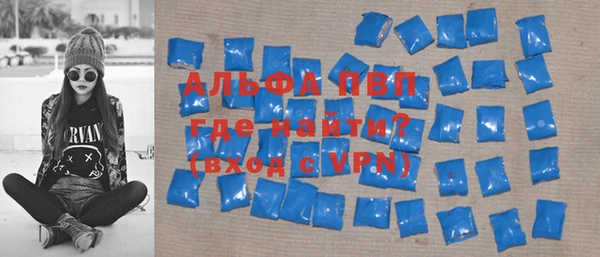 индика Лихославль