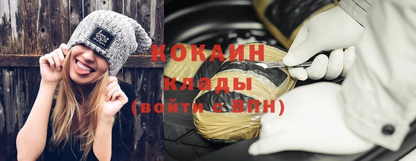 индика Лихославль