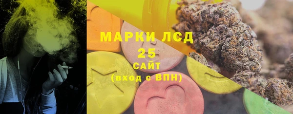 индика Лихославль