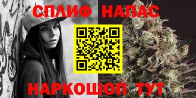 дживик Будённовск