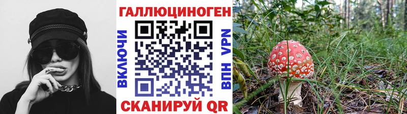 кракен онион  Скопин  Псилоцибиновые грибы мухоморы 