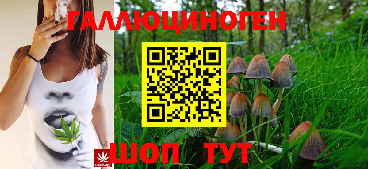 Псилоцибиновые грибы GOLDEN TEACHER Скопин