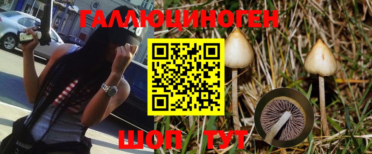 Псилоцибиновые грибы Magic Shrooms  Вход с VPN  Скопин 